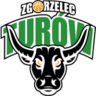 Turów Zgorzelec Esport