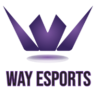 WAY Esports