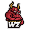 WanZhen Esports Club