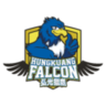 Hungkuang Falcon