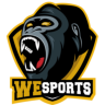 WeSports