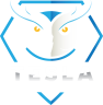 Tesla eSports