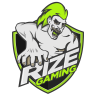 rizeGaming