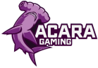 AcaRa Gaming