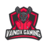 Vainox Gaming