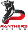 PANTHERS Gaming