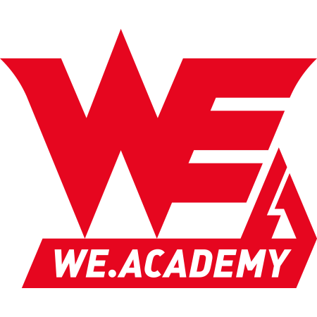 Team WE Academy Logo