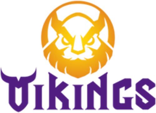 MGN Vikings Esports Logo