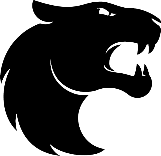 Furia Logo