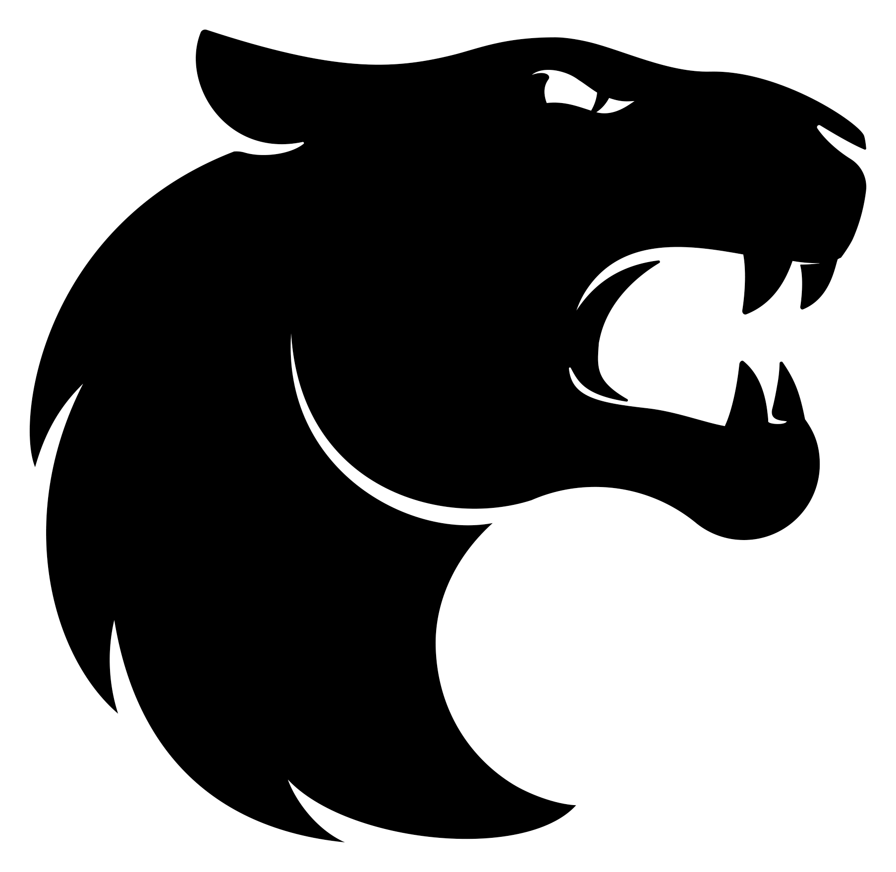 FURIA Esports