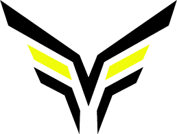 The Vicious Esports