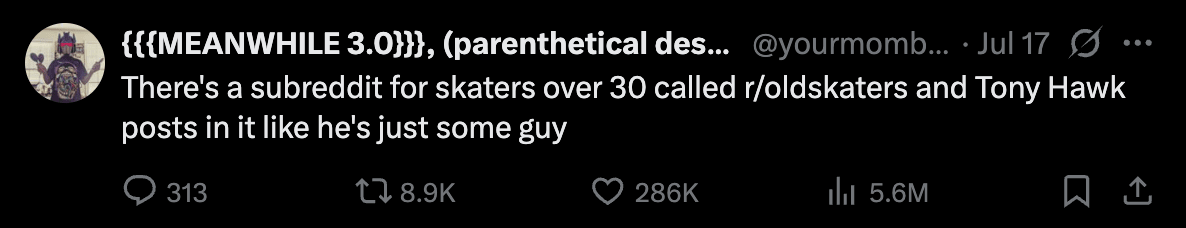 There's a subreddit for skaters over 30 called r/oldskaters and Tony Hawk posts in it like he's just some guy