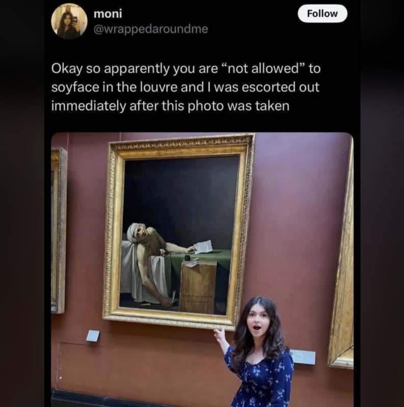 soyface in the louvre