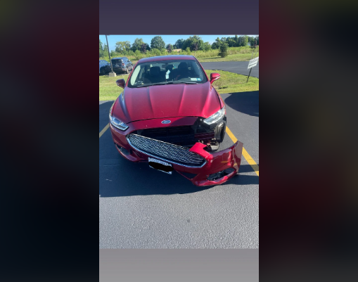 CEO of the company I work for, hit my parked car while I was working