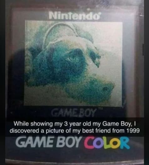 Man’s best friend is never forgotten
