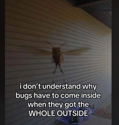 me_irl