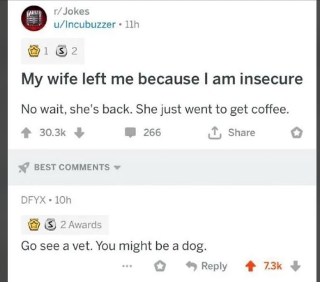 My wife left me because..