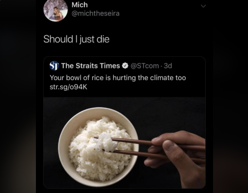 How Your Bowl of Rice Impacts the Climate: Should I Just Give Up?