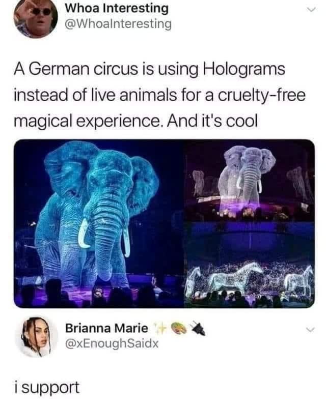 Holograficzne słonie