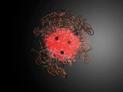 Cell imaging