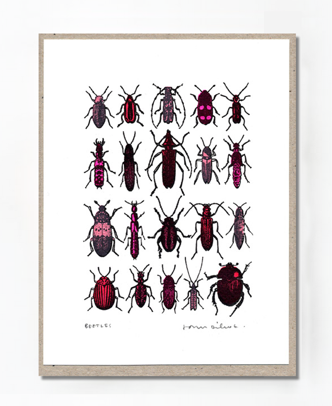 john-dilnot-beetles-red-mini-print