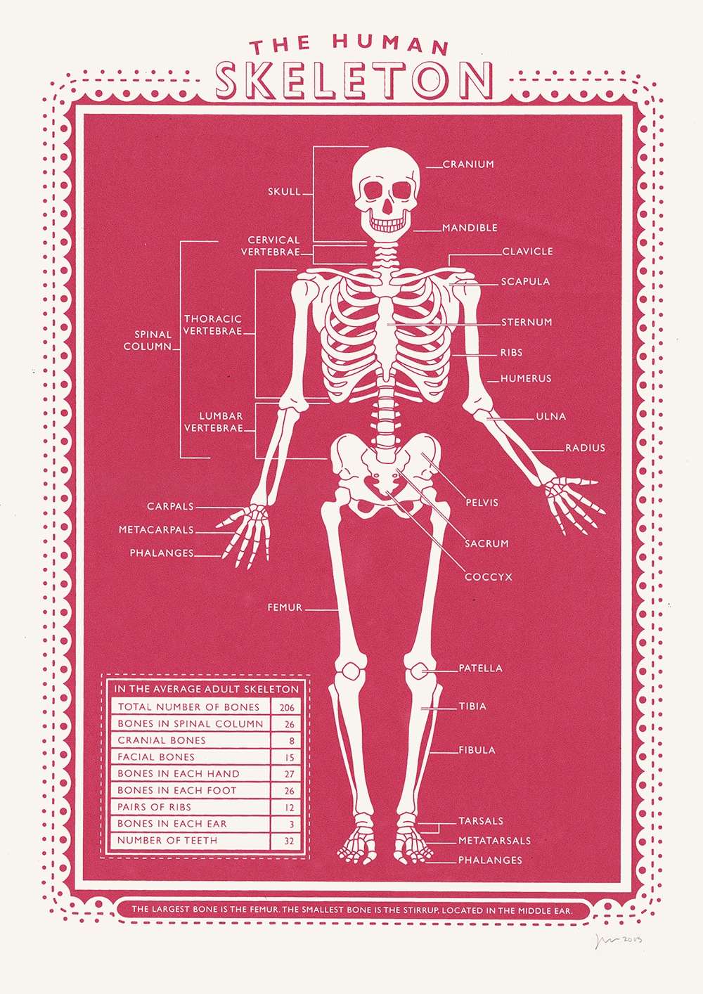 James Brown Human Skeleton Print