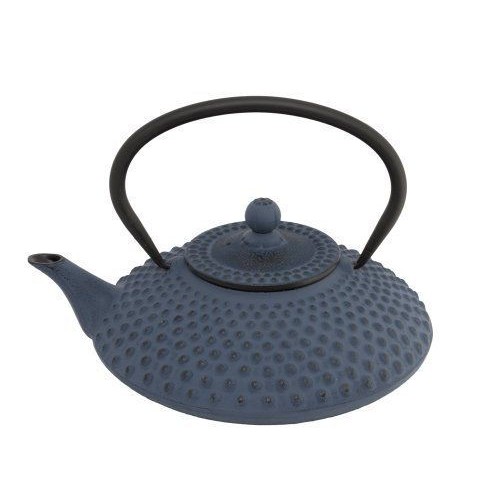 Bredemeijer Blue Cast Iron Asian Teapot