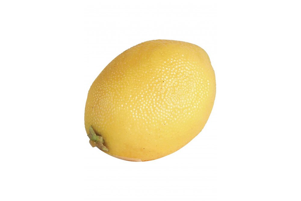 The Home Collection Artificial Lemon