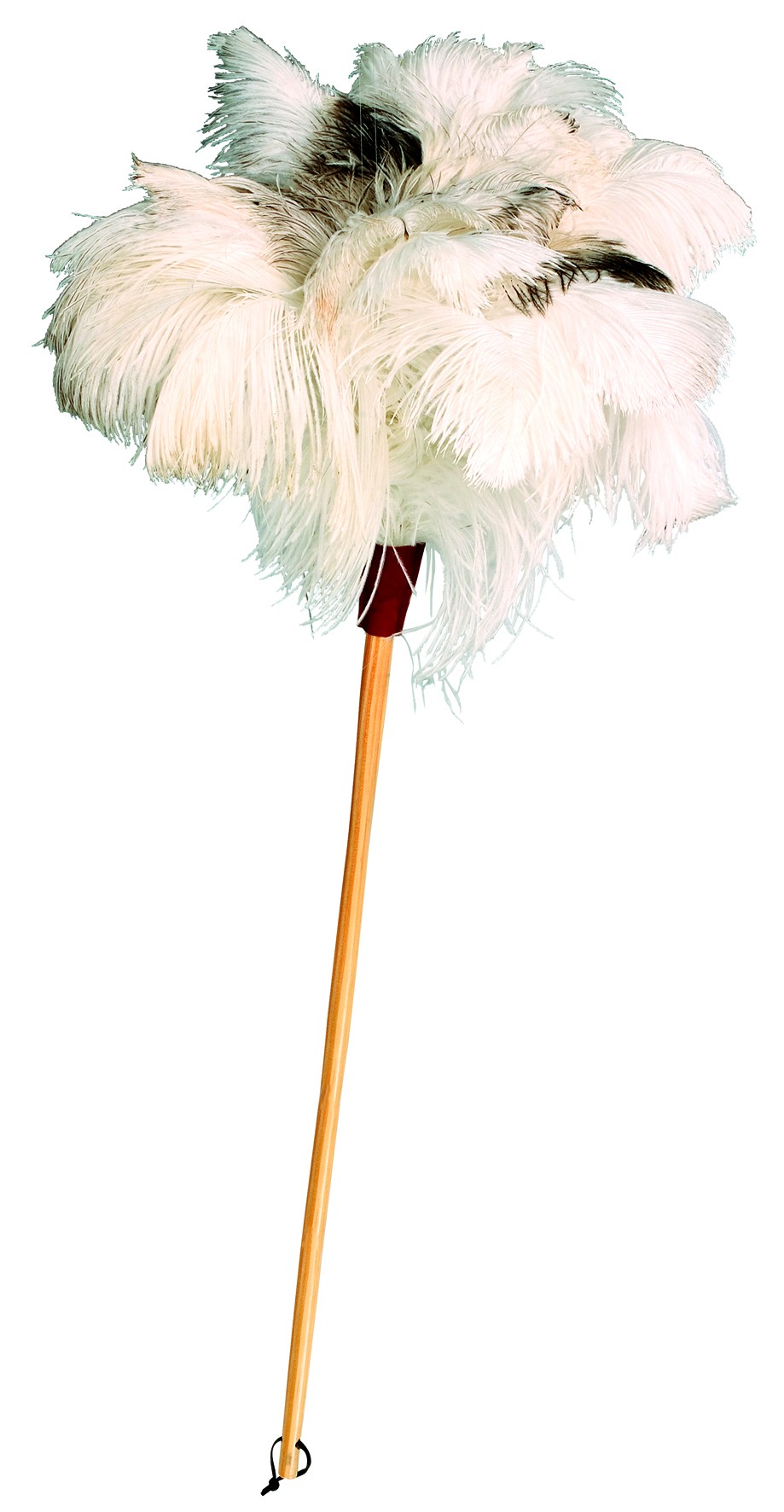 the ostrich feather duster company