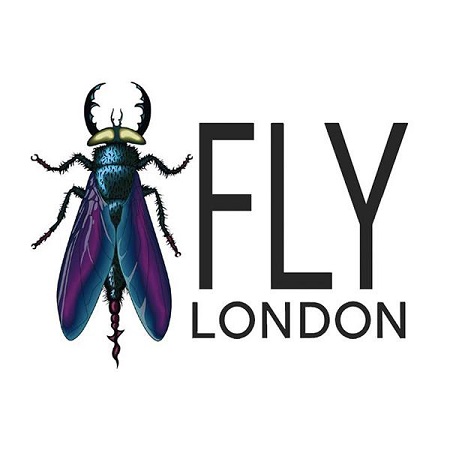 Fly London