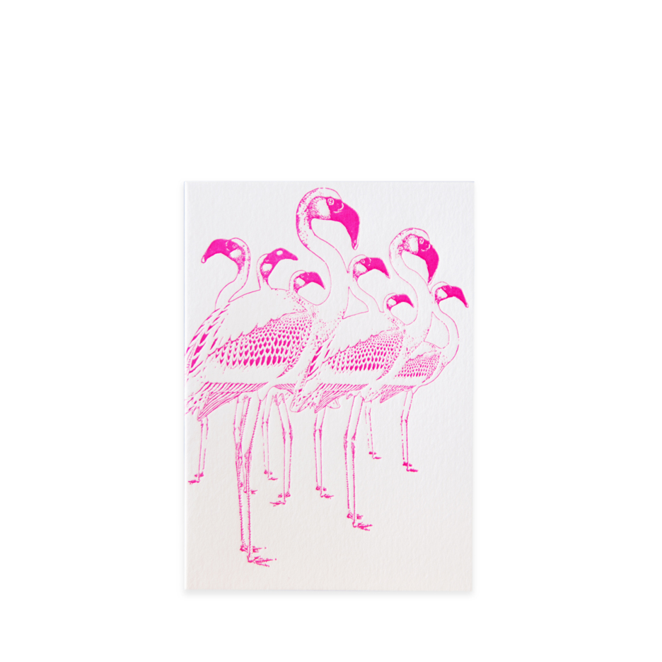 Archivist Set Of 5 Pink Flamingo Letterpress Notecards