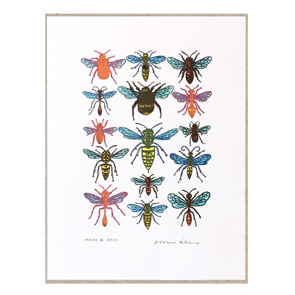 John Dilnot Bees & Wasps Mini Screen Print