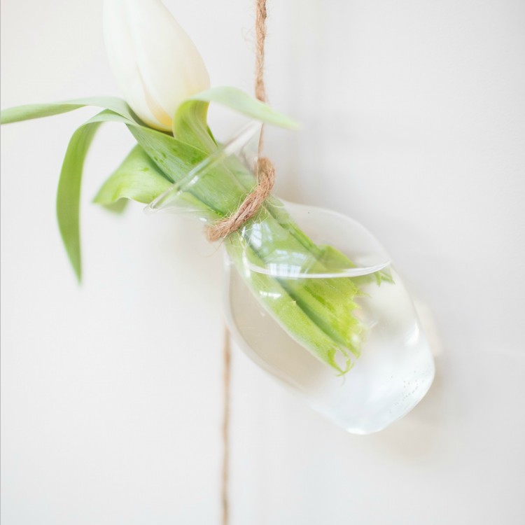 Accessories for the Home Glass Bottles Hanging Decor