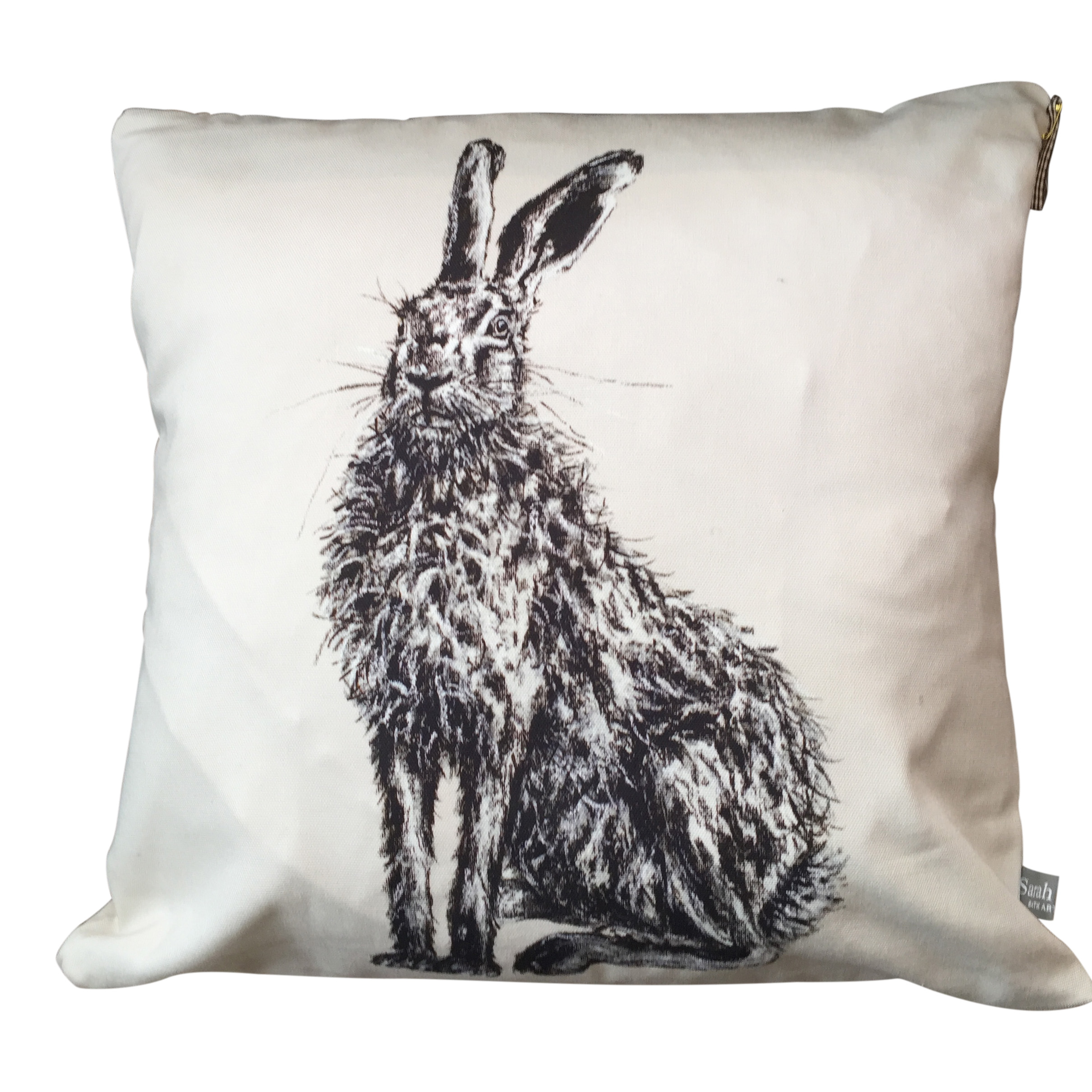 Bath Art Works Henry Hare Cushion