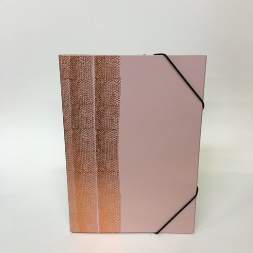Papette Pink A4 Portfolio