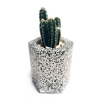 hexagonal-terrazzo-pot