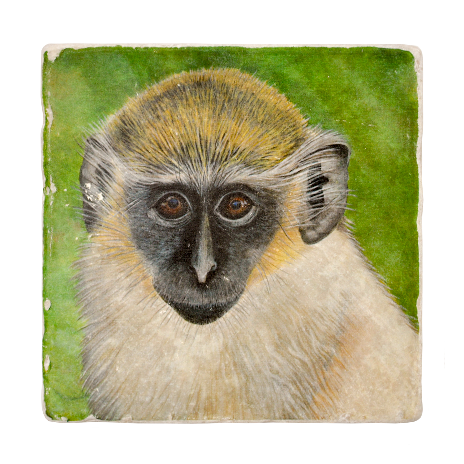 Jenny Blanc 'Green Monkey' Tumbled Italian Marble Coaster