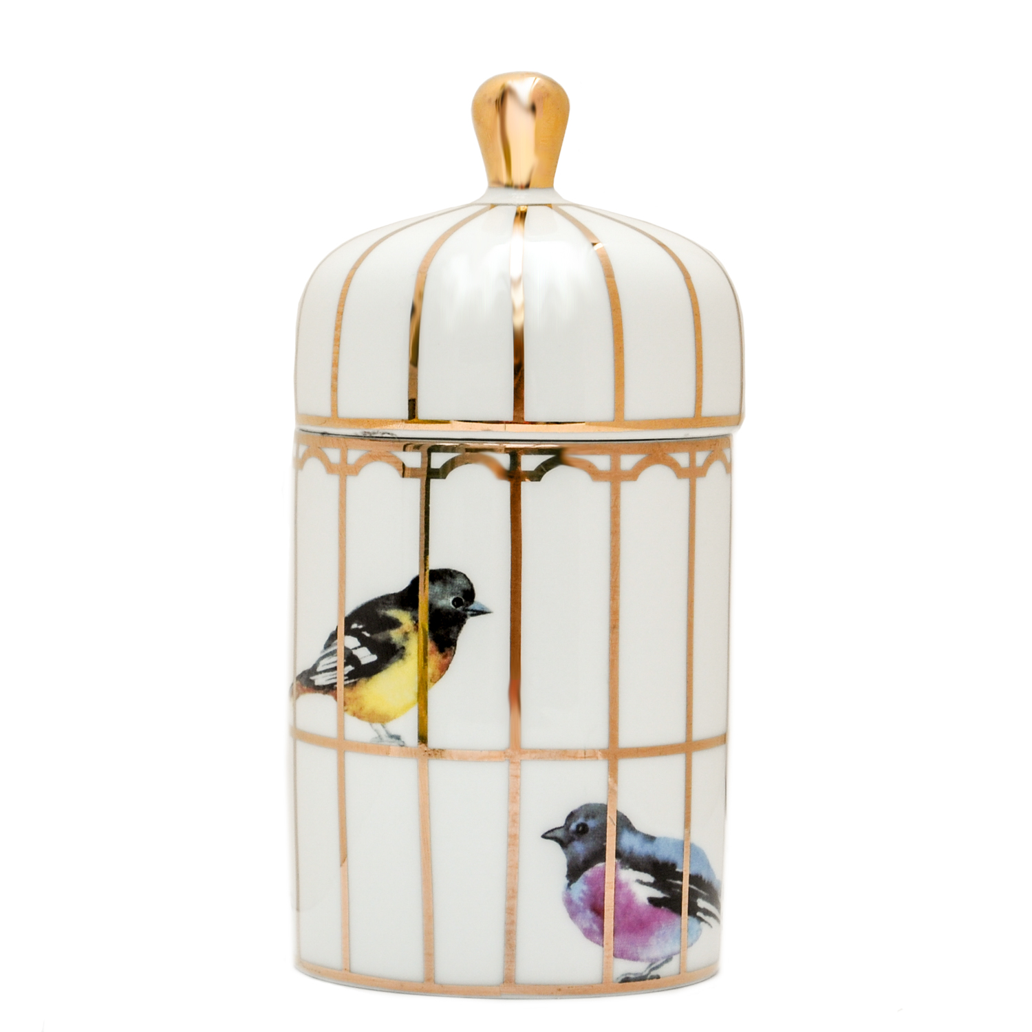 Twos Company Autumn Gilded Birdcage Ceramic Jar With Lemon Verbena Scented Candle