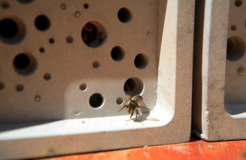 Une brique de construction hexagonale en terre cuite inspirée des alvéoles  des abeilles - NeozOne