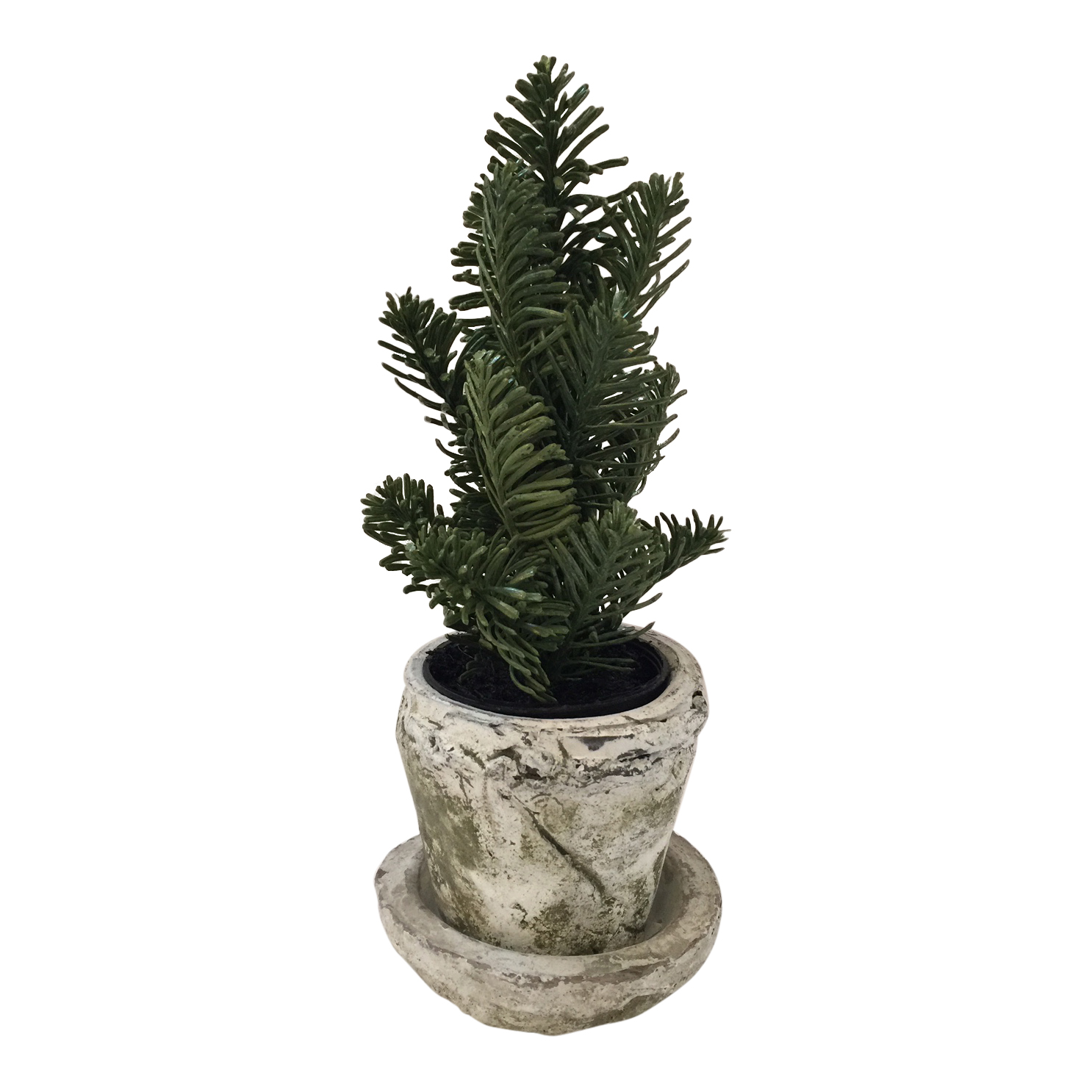 Grand Illusions Mini Faux Fir Tree in Pot