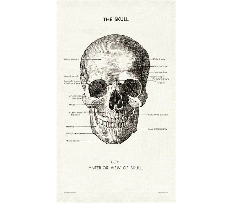 Cavallini & Co Skull Tea Towel - 100% Natural Cotton