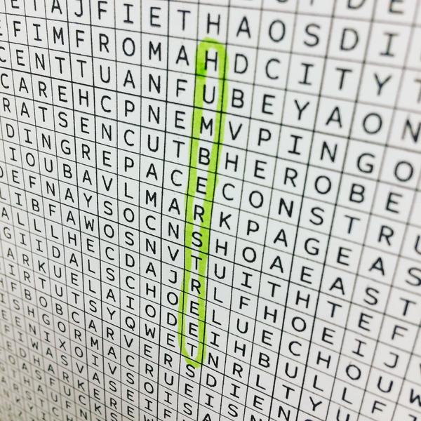 Form Studio The Great Hull Wordsearch