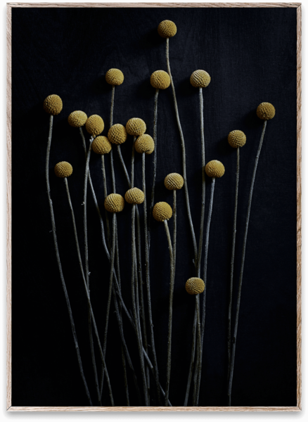 Paper Collective Yellow 30 X 40 Cm Still Life 1 Drumsticks Print 