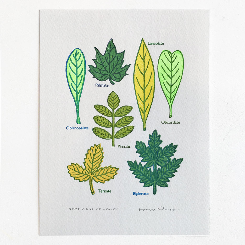 John Dilnot Some Kinds Of Leaves Print