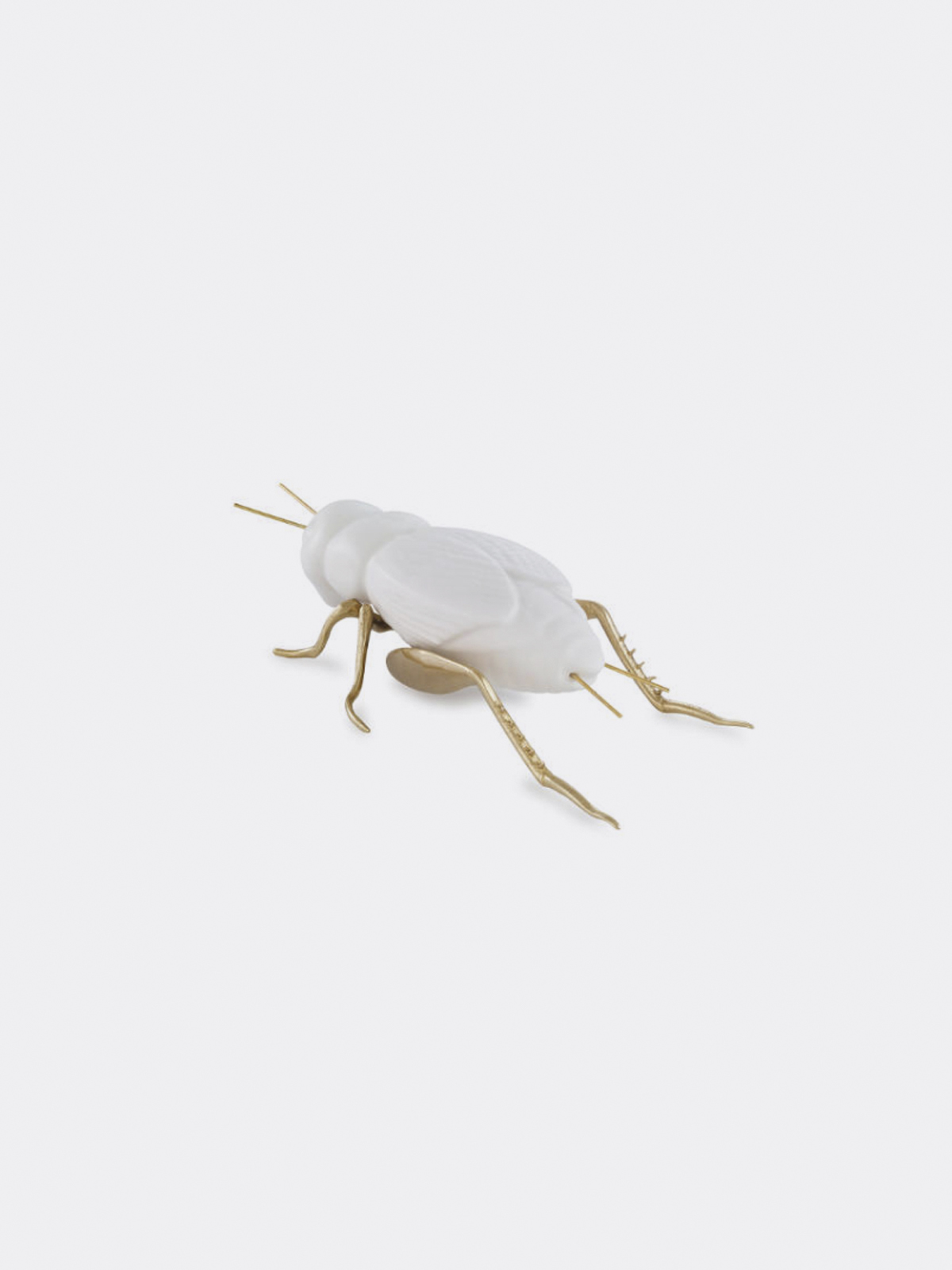 Laboratorio D’Estorias  White Matt Glazed Ceramic Cricket With Brass Legs