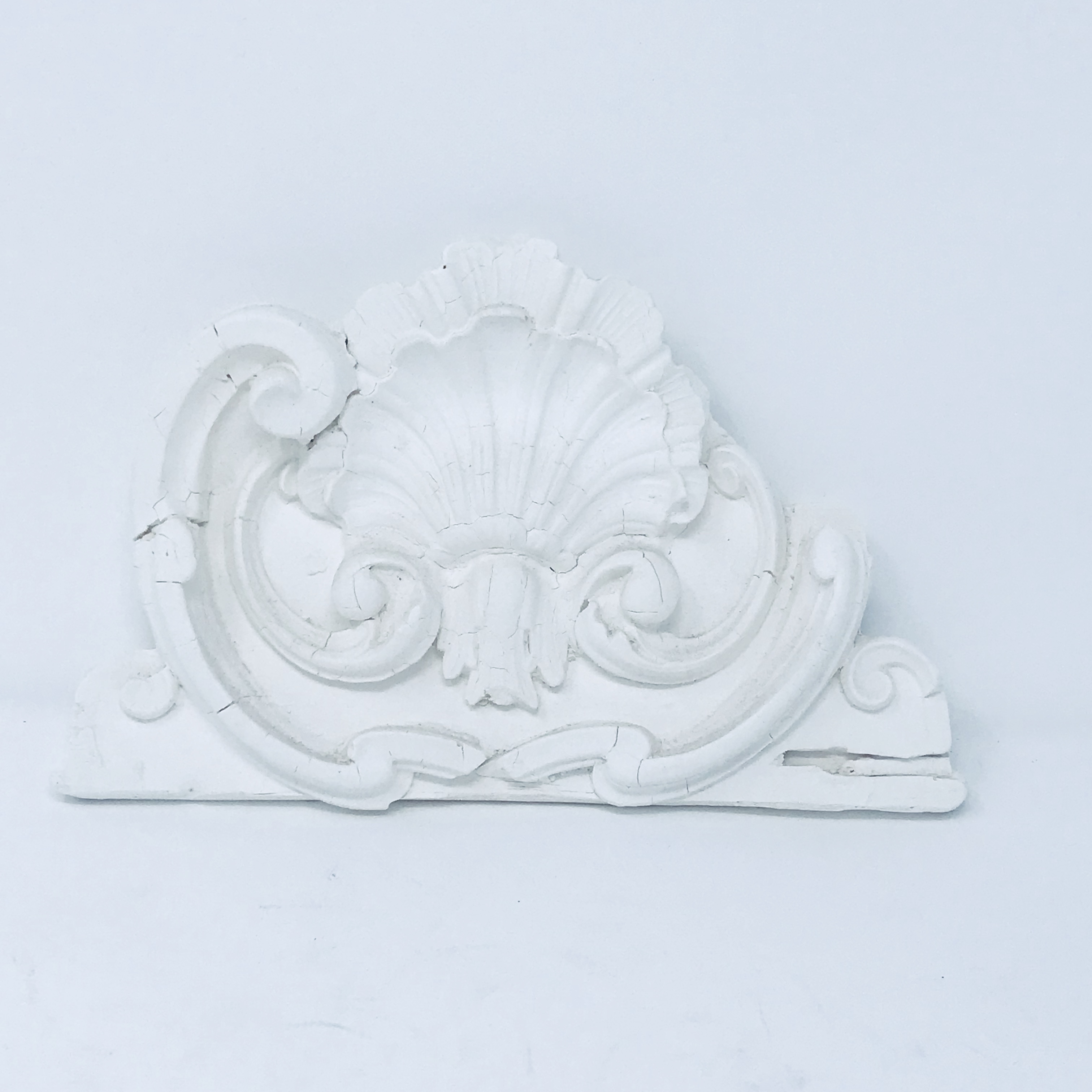 Pale & Interesting Shell Scroll Plastercast