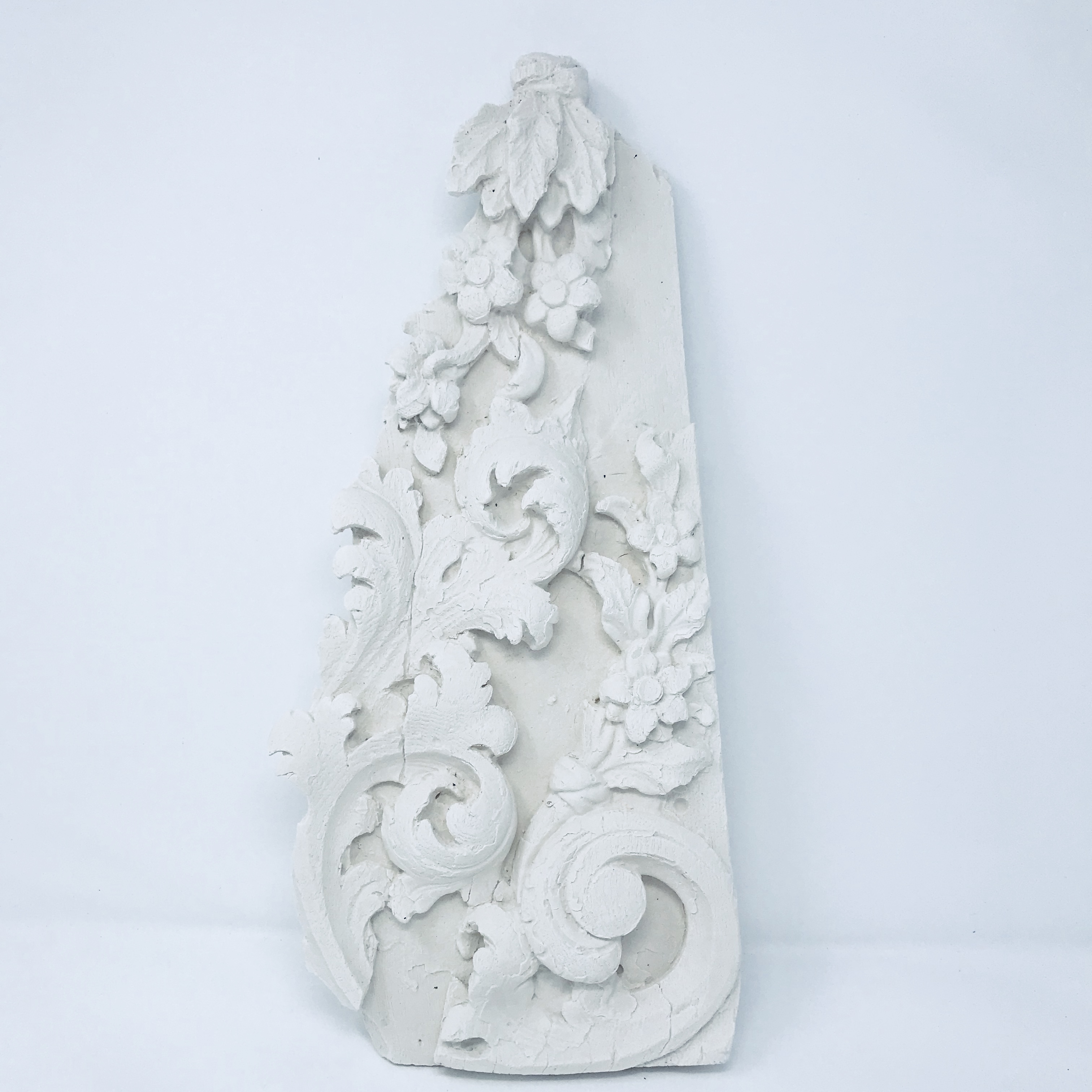 Pale & Interesting Acanthus Leaf Plastercast