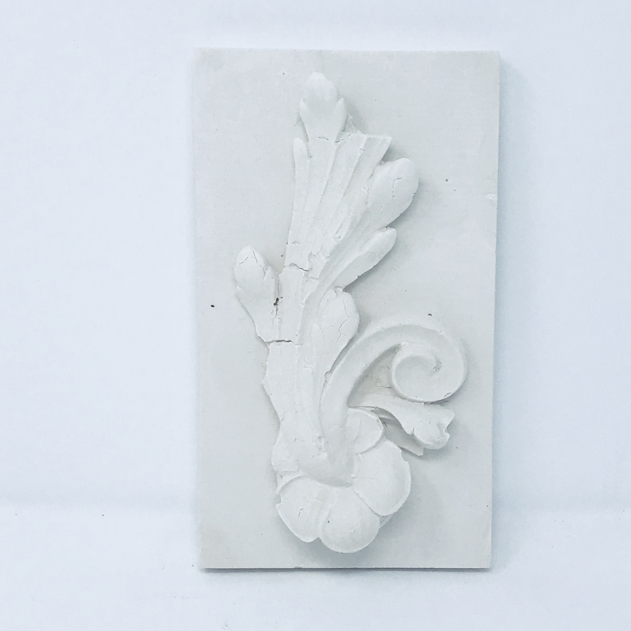 Pale & Interesting Small Plastercast Scroll