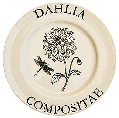 Pale & Interesting Dahlia Dragonfly Modern Botanicals Dinner Plates
