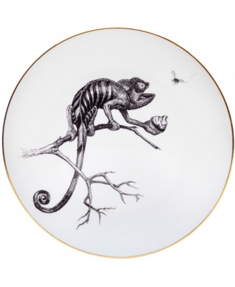 Rory Dobner  Chameleon Plate